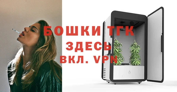mdpv Бородино
