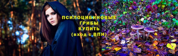прущие грибы Верхнеуральск