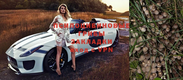 mdpv Бородино