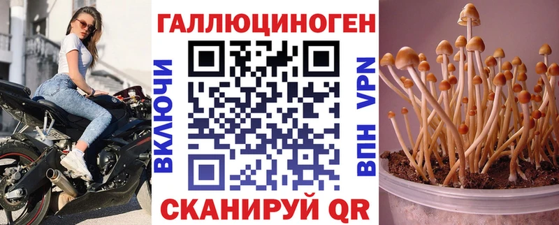 Псилоцибиновые грибы ЛСД  Катайск 
